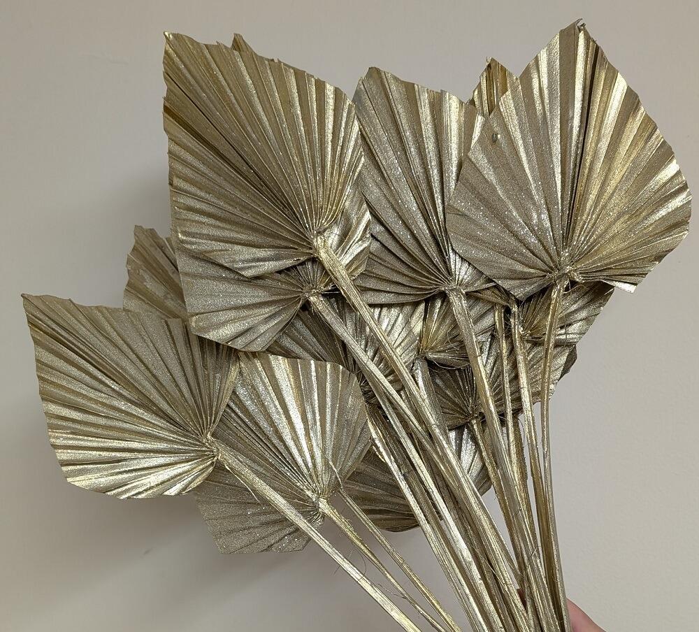 dried palm spear spade for floral decoration