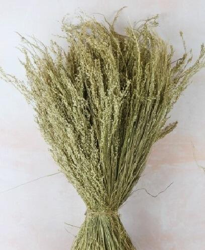 natural grass star bundle foliage and bushes
