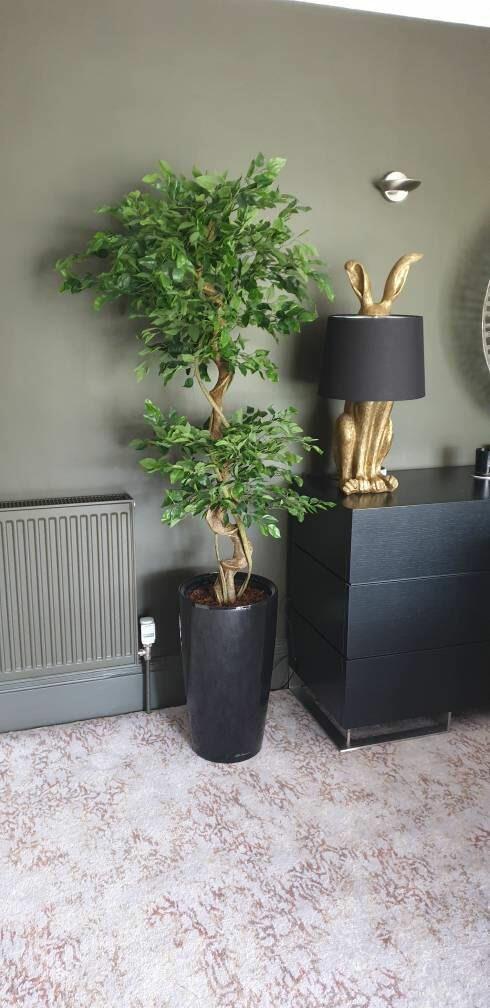 Artificial Japanese Fruticosa Style Ficus Tree