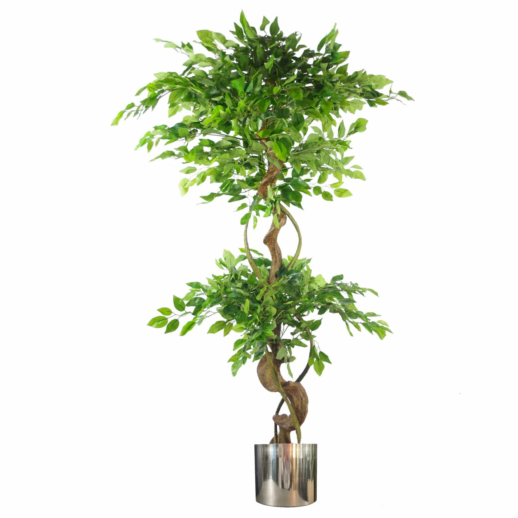 Twisted Trunk Artificial Japanese Fruticosa Ficus Tree