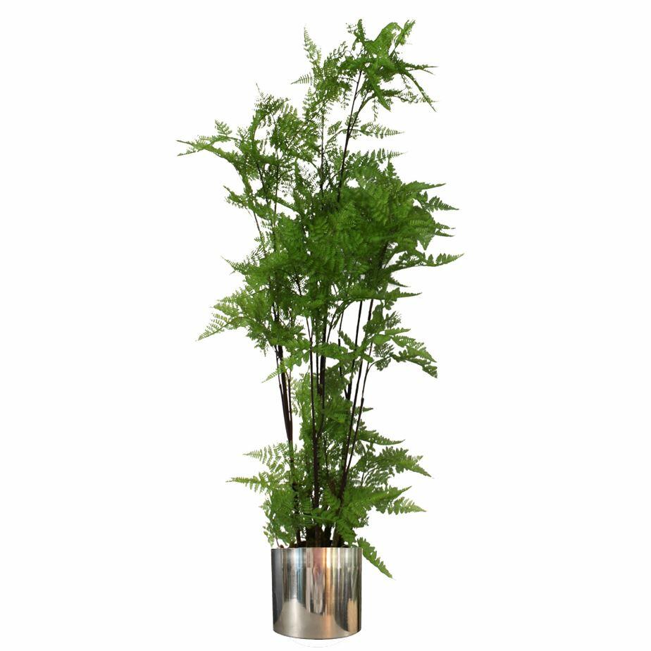Artificial Natural Extra Large Fern Foliage