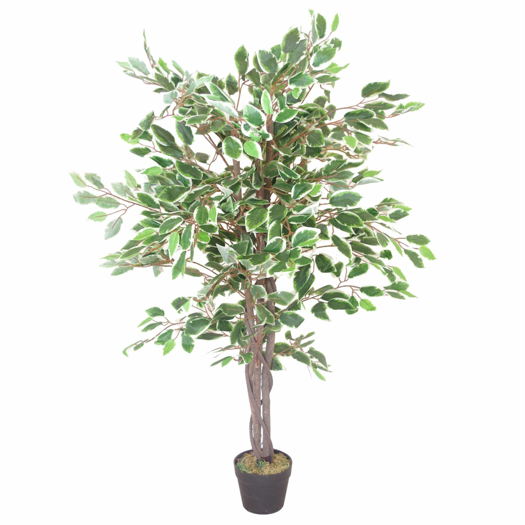 Realistic White Edge Ficus Artificial Plant Tree