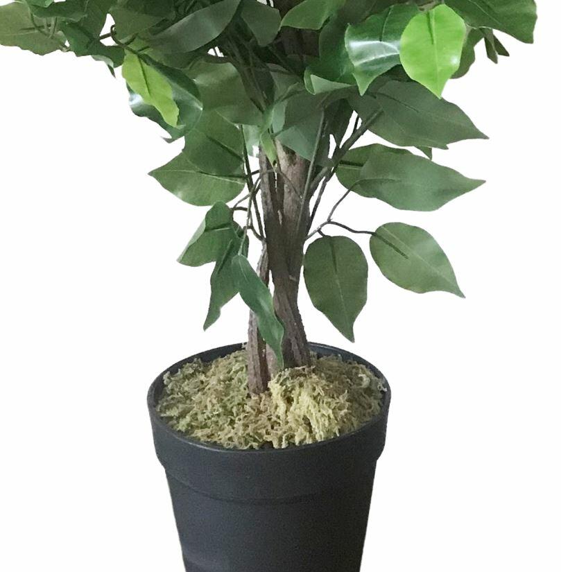 Artificial Ficus Tree