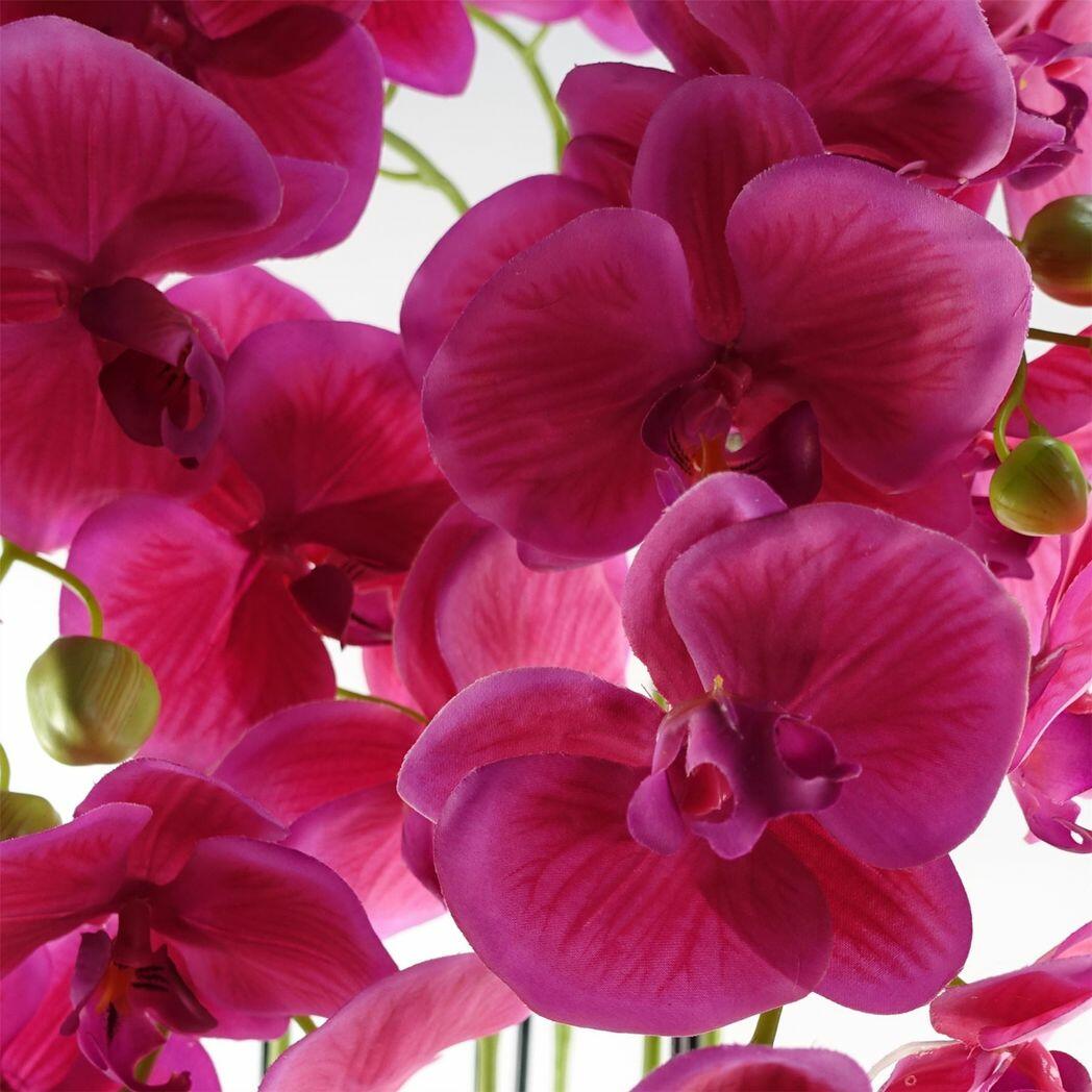 110cm Large Pink Orchid Plant