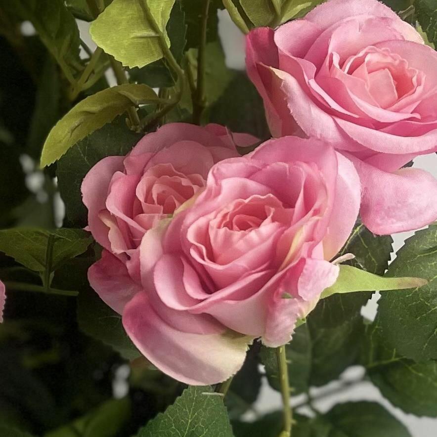 Premium Rose Bush Pink Silk Flowers and Leaves