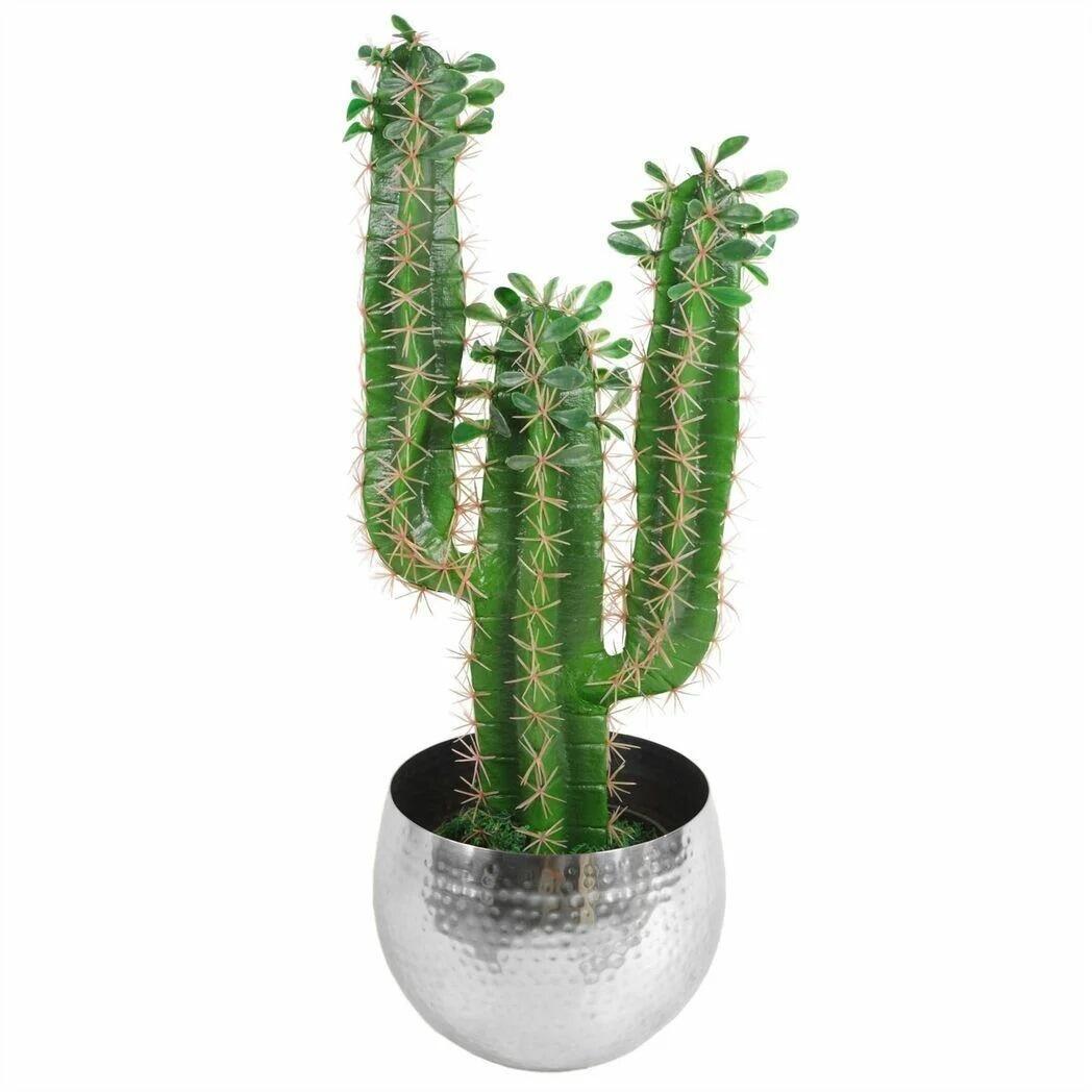 garden planter