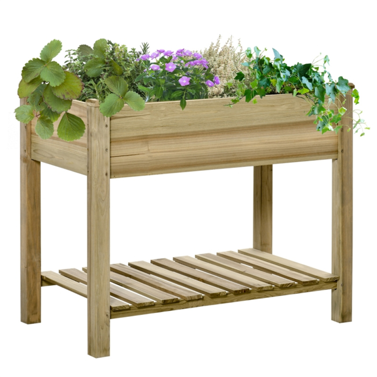 raised garden bed with view 1