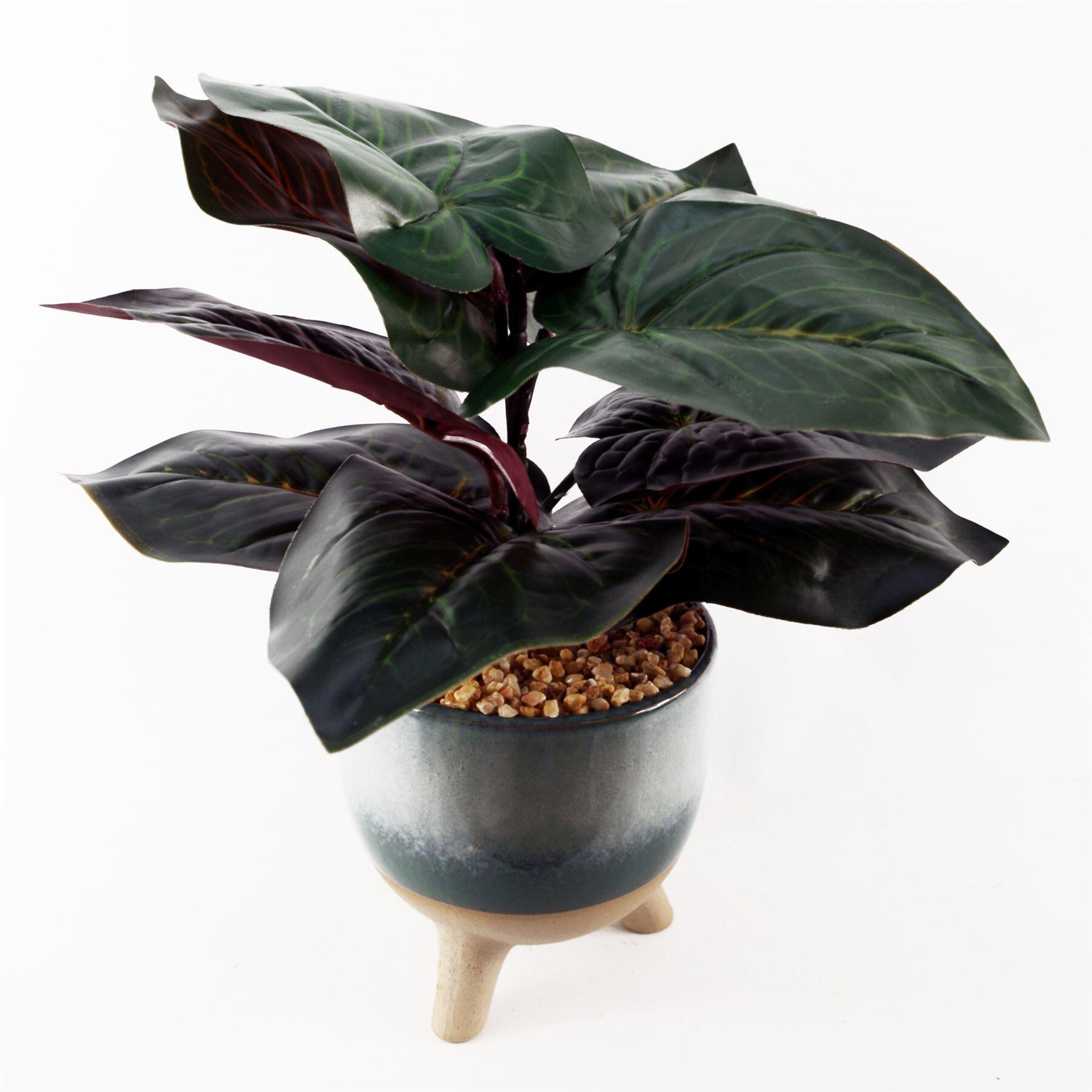 35cm artificial ficus plant with teal blue green view 3