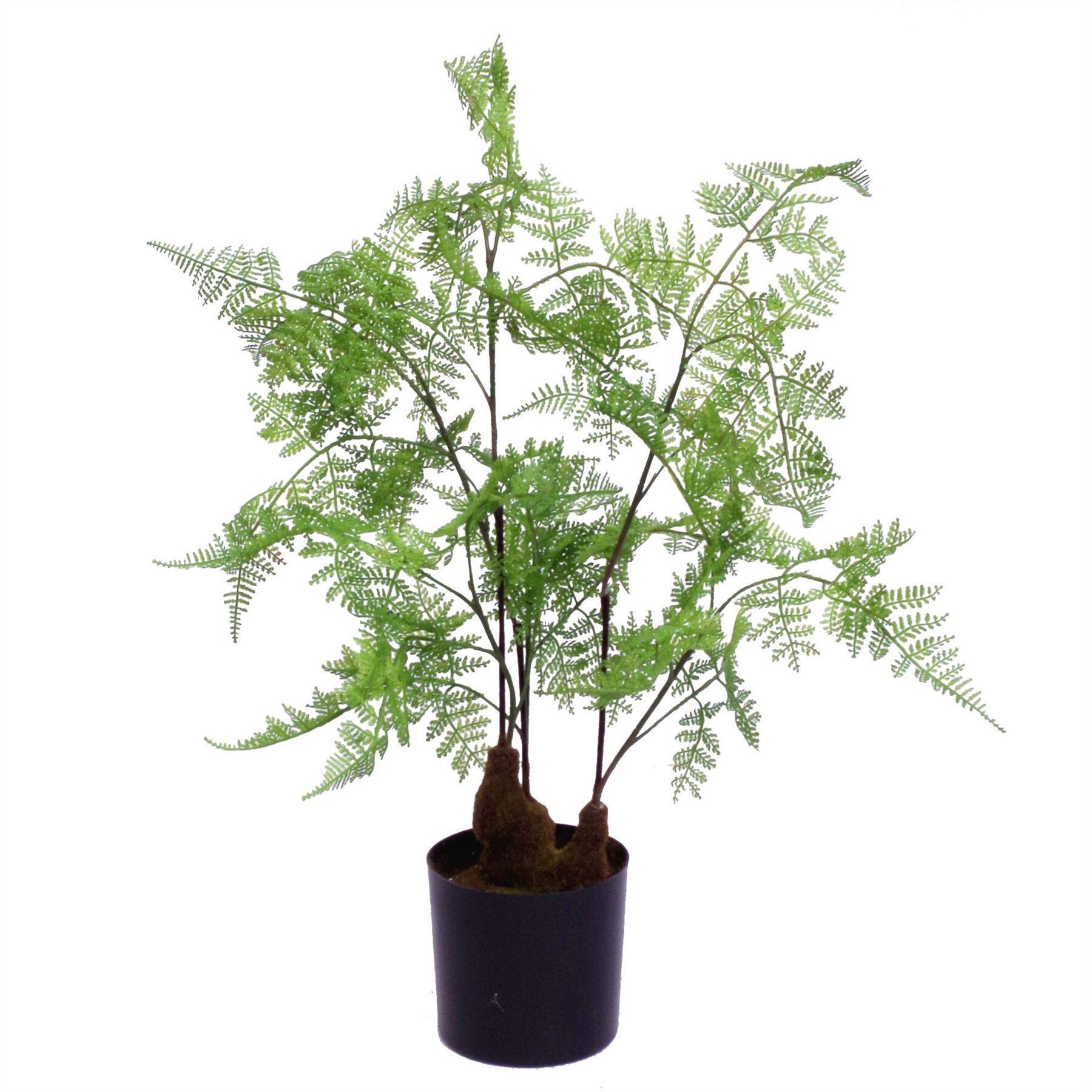 image of 60cm artificial natural moss base fern foliage plant
