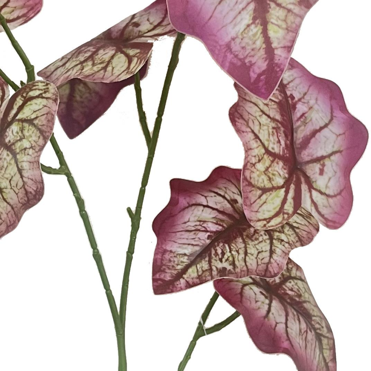 Picture of Pack of 6 x 85cm Artificial Purple Leaf Foliage