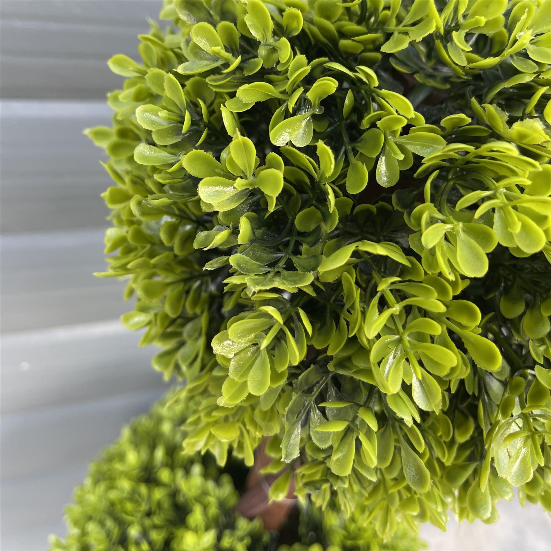 topiary double trees pair 90cm of green product image