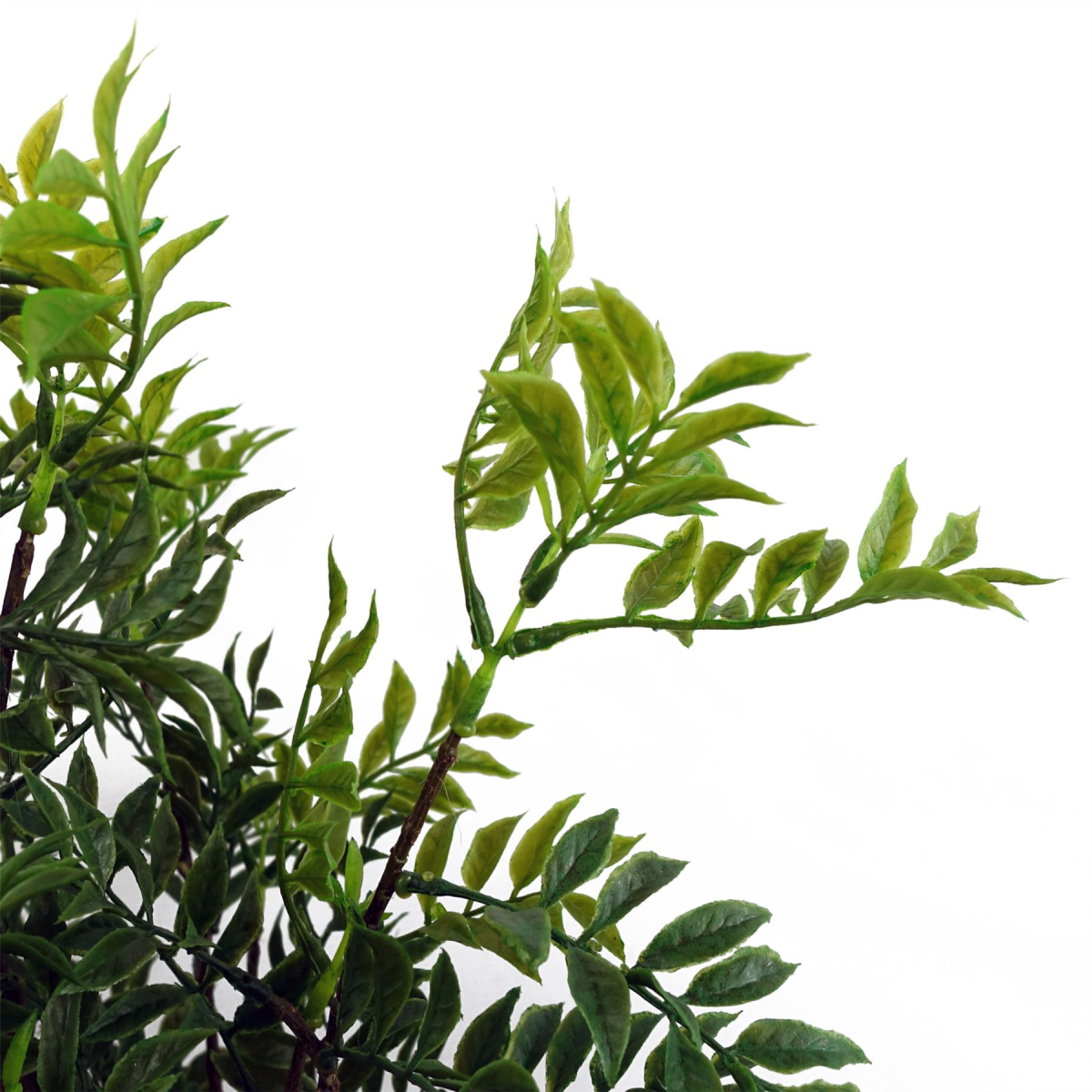60cm bonsai ficus tree nandina artificial product image