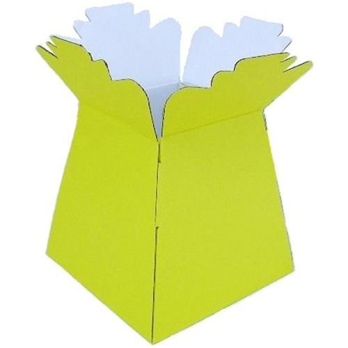 Flower Transporter Vase Boxes UK