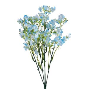blue gypsophila flowers