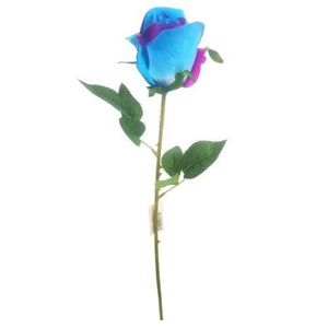 rainbow rose flower stem