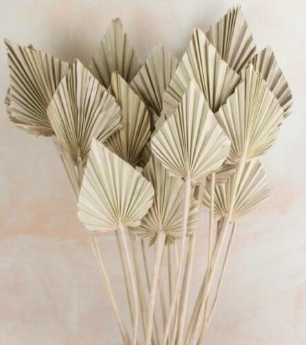 pink dried palm spear