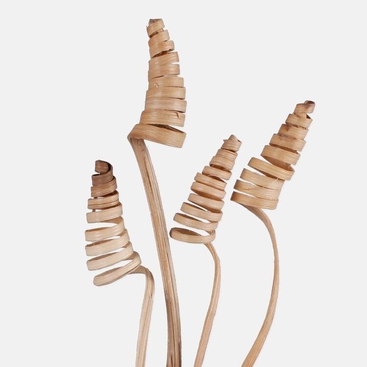 small dried cane cone stem