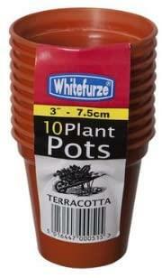 garden Pot Terracotta