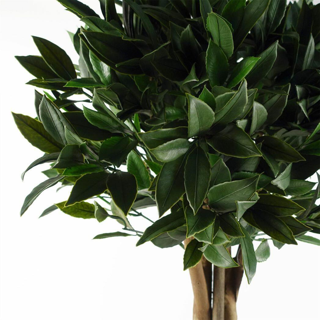 120cm Bay Tree Laurel UV Resistant Outdoor