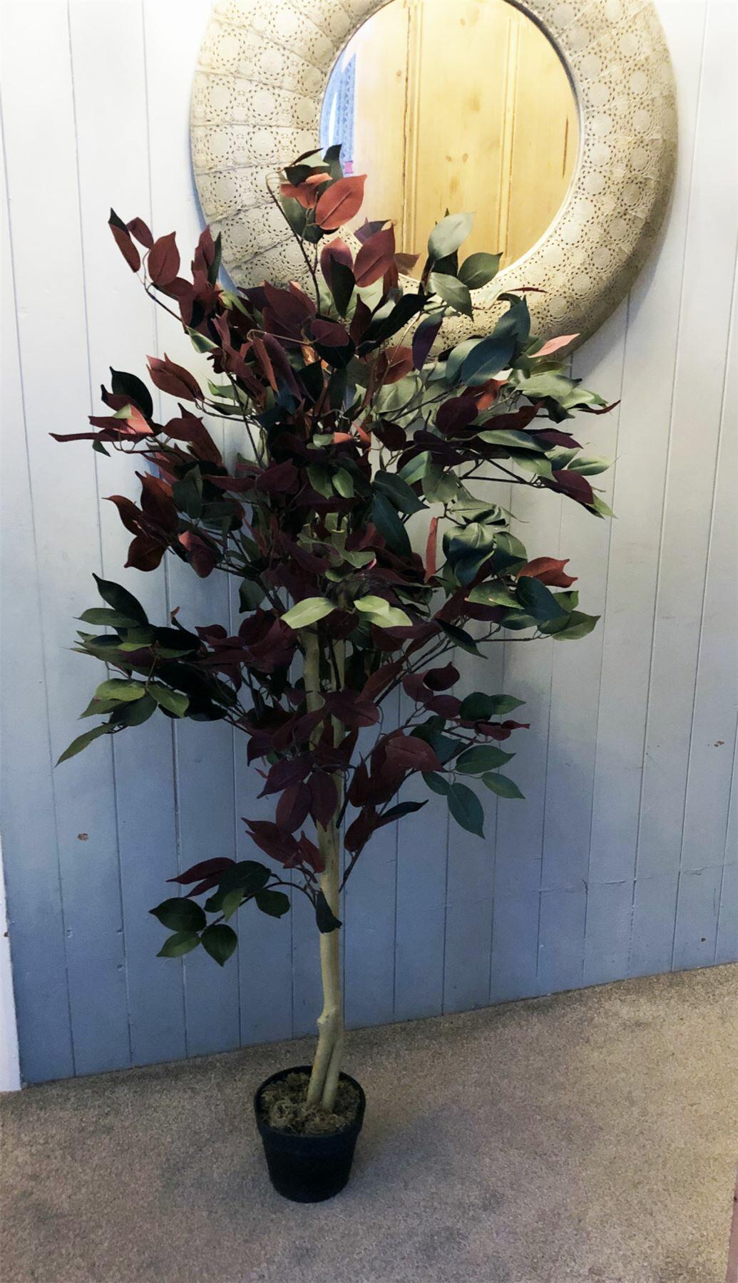 Artificial Dark Red Green Ficus Plant - Extra Large