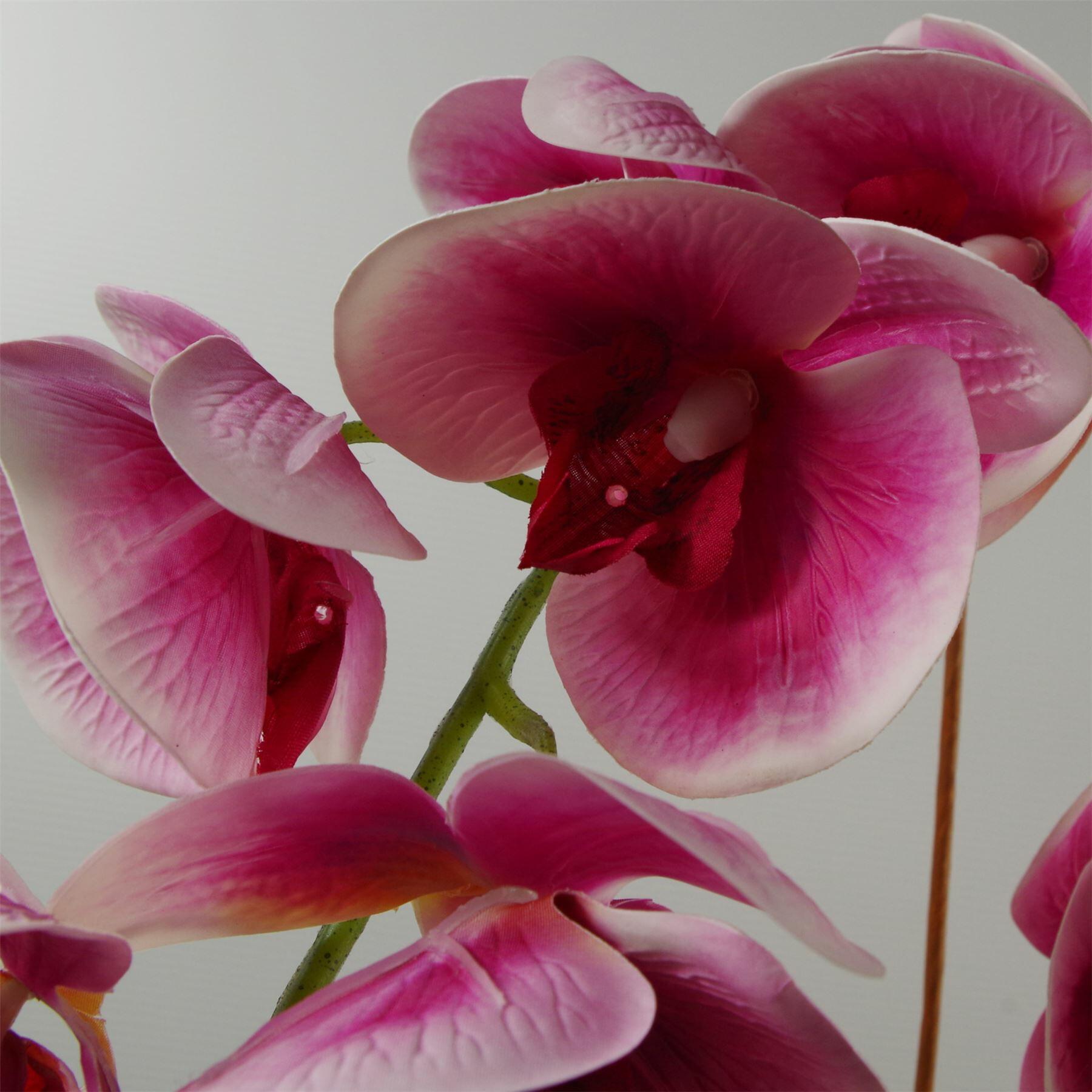 Artificial Orchid Dark Pink