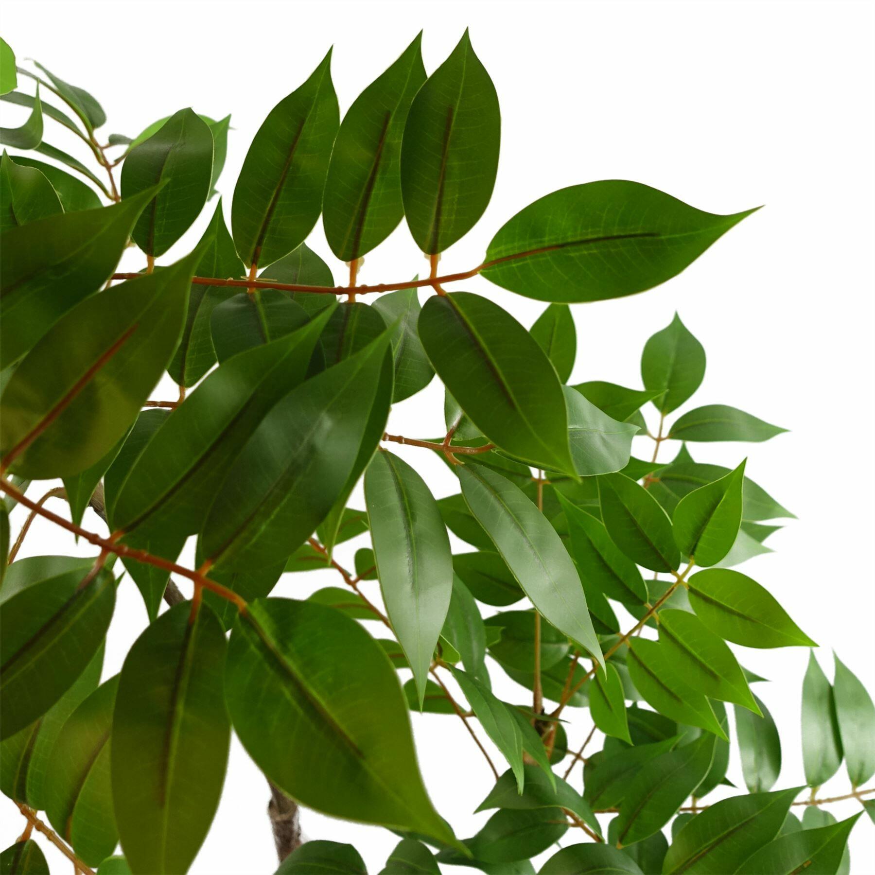 Artificial Toona Sinensis Plant Evergreen