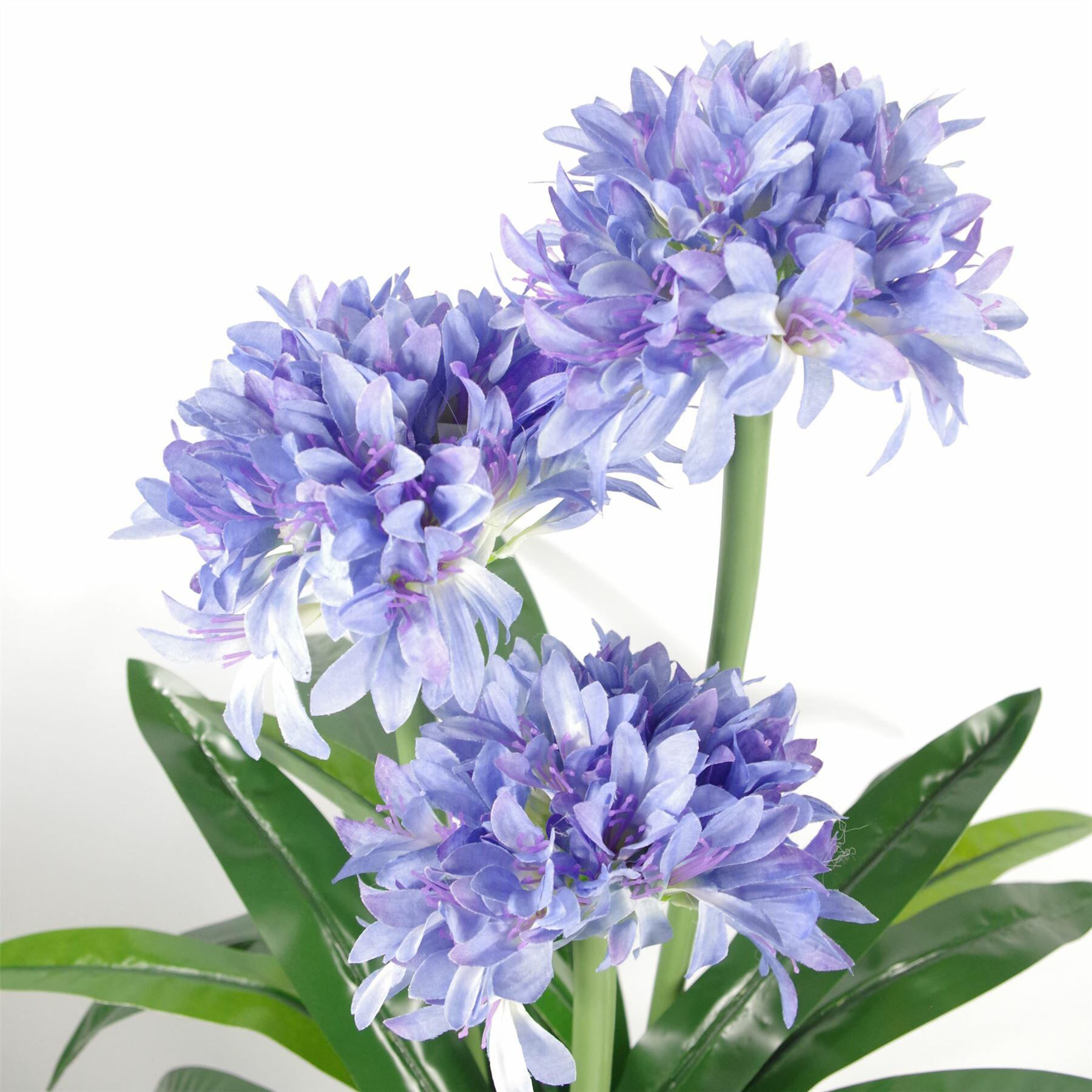 90cm Premium Artificial Agapanthus with pot