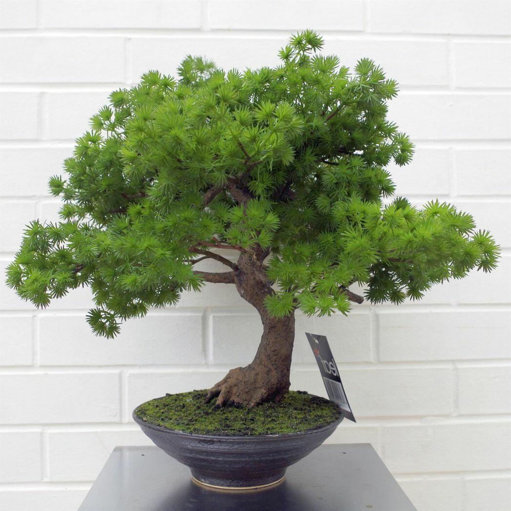 Artificial Luxury Pine Bonsai Tree