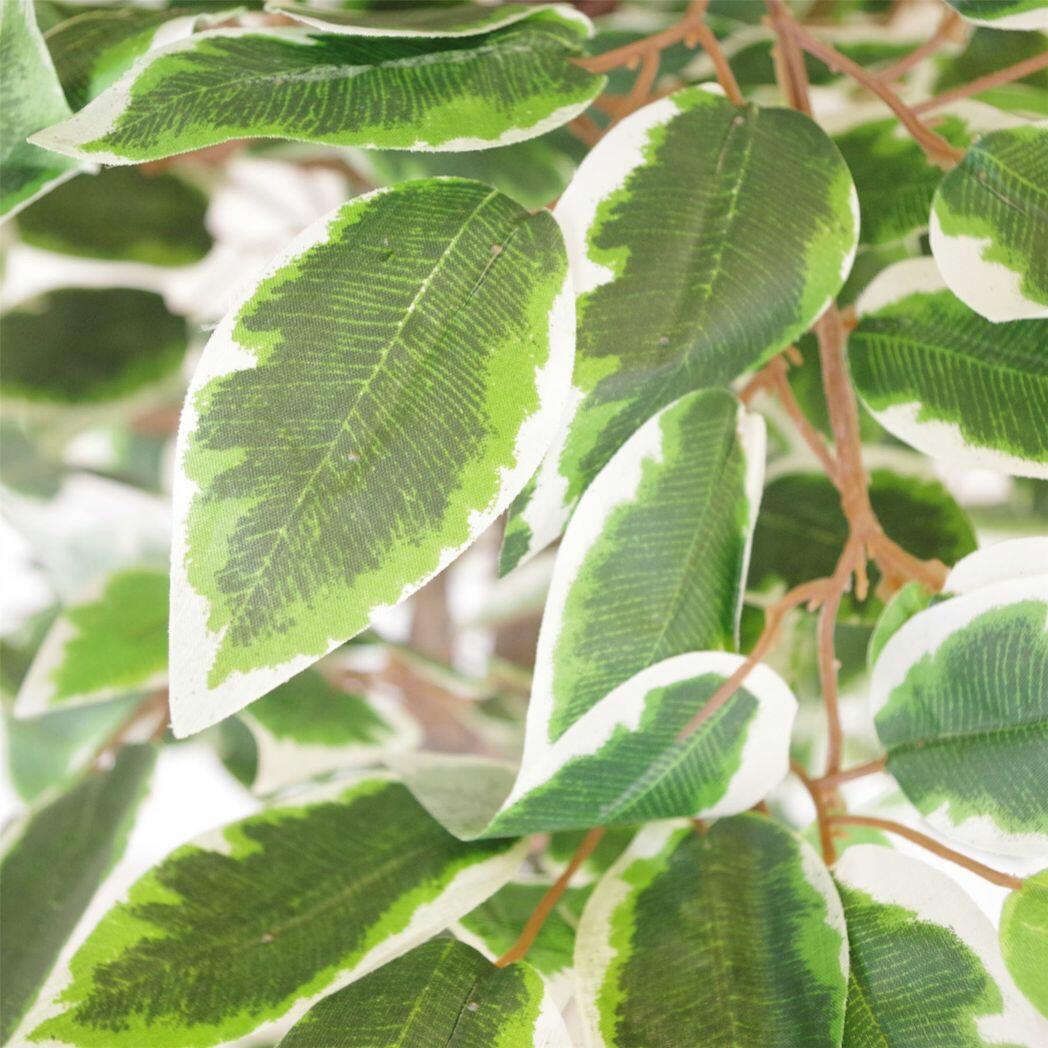 Realistic White Edge Ficus Artificial Plant Tree