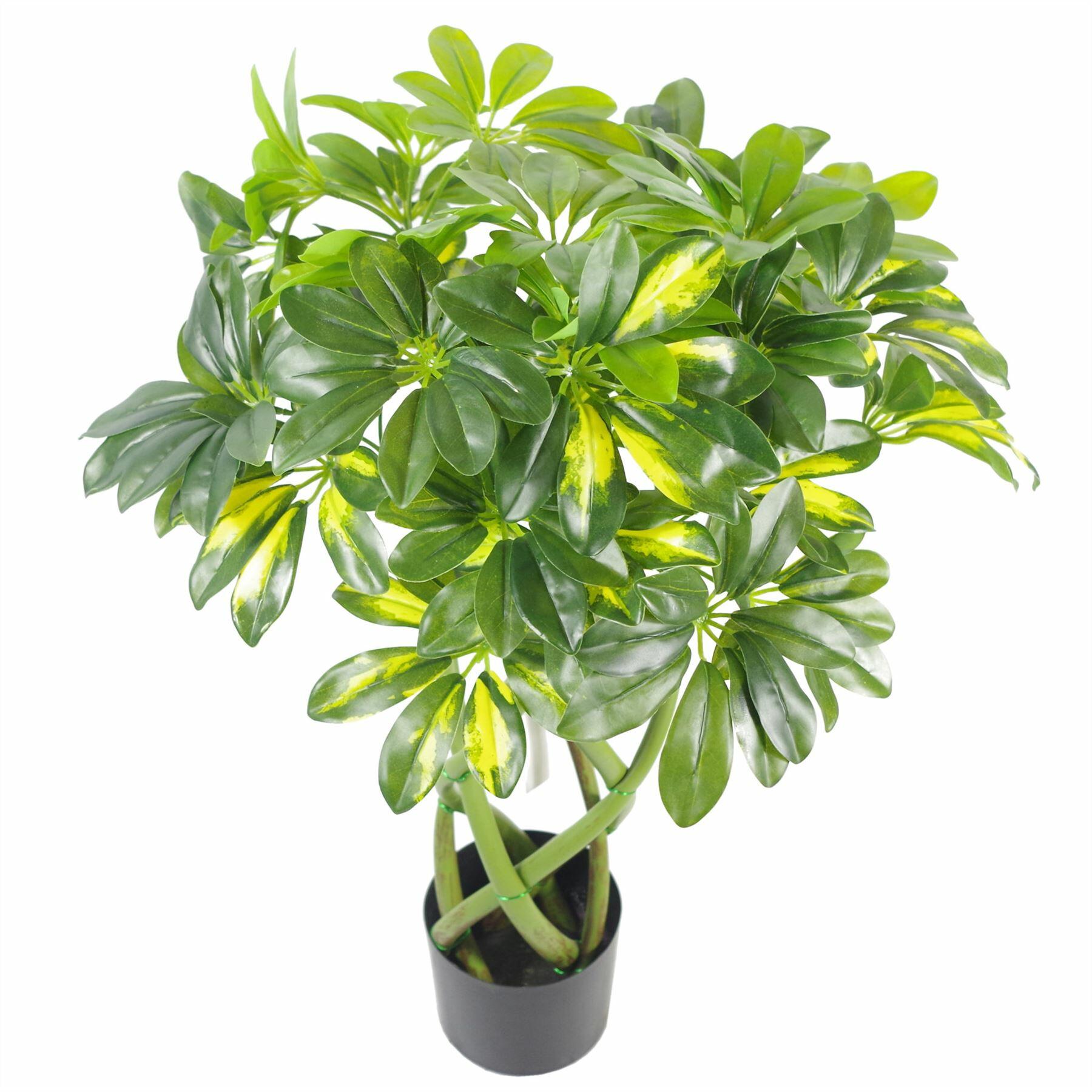 Artificial Plant Bonsai Bush Twisted Golden Capella
