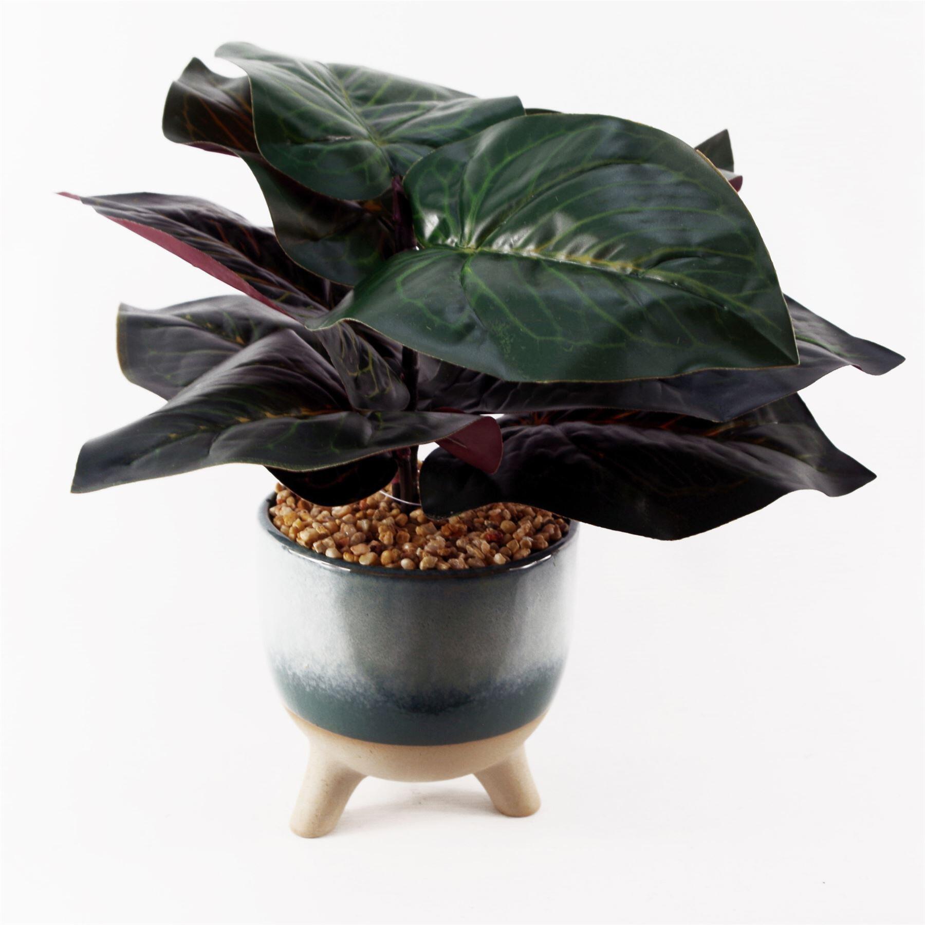 35cm artificial ficus plant with teal blue green view 4