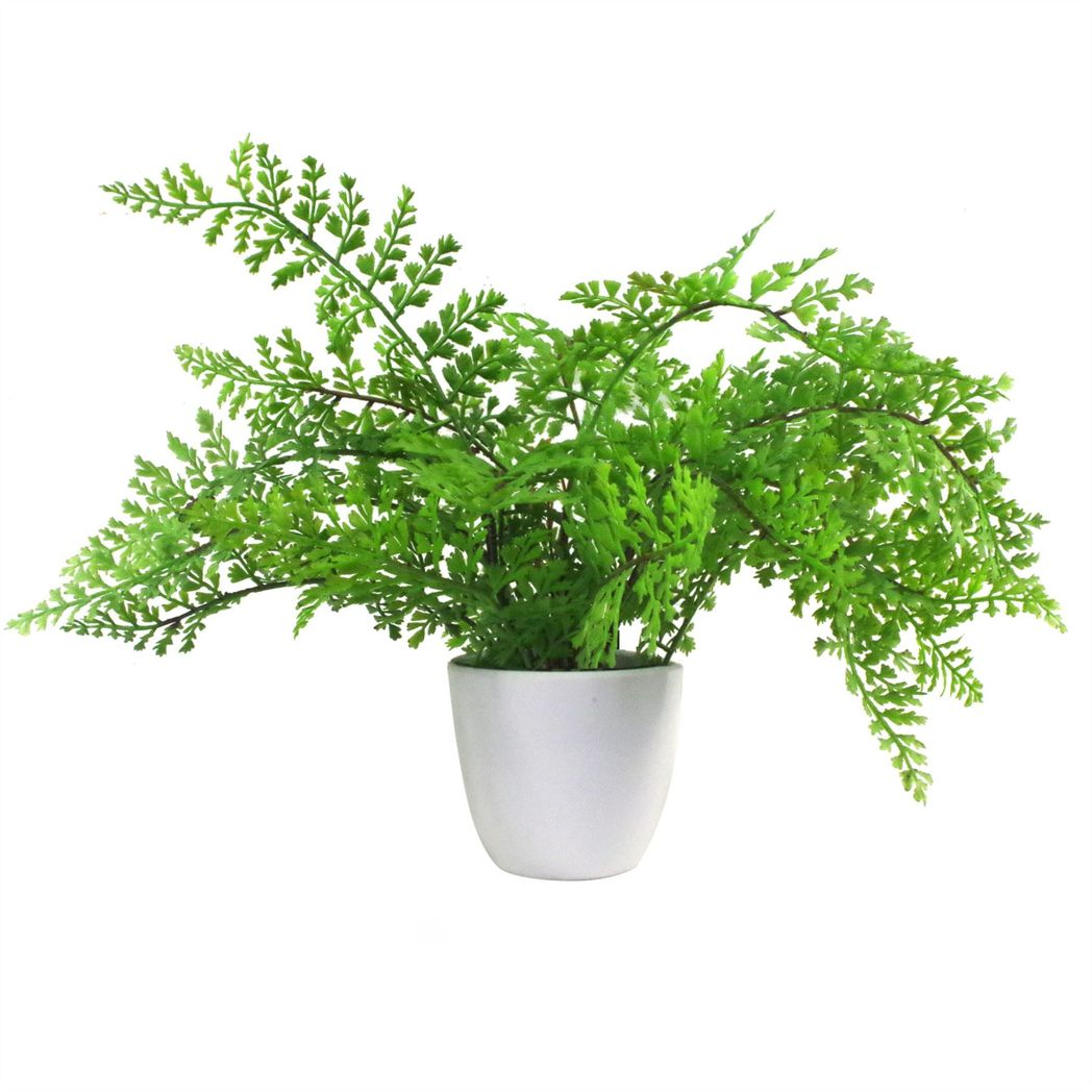 30cm Artificial Potted Royal Fern alternative style 2