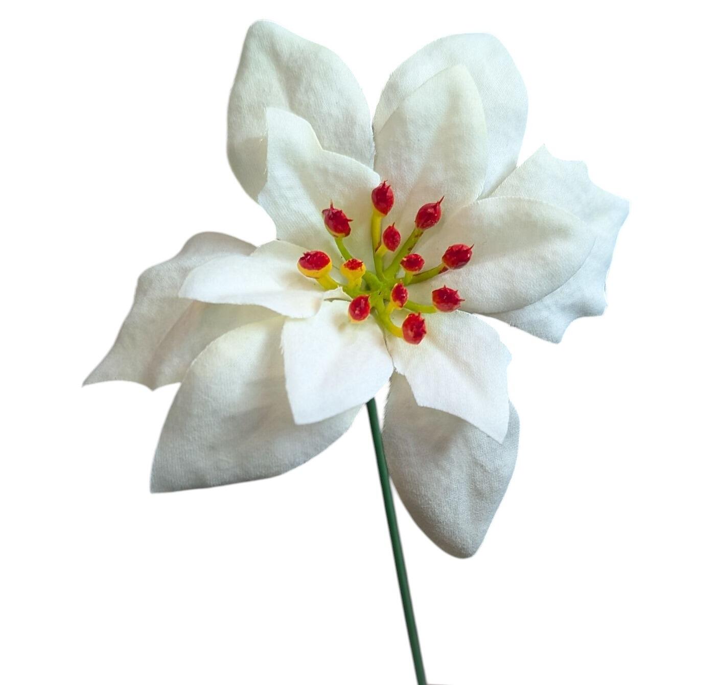 Ivory Poinsettia pick