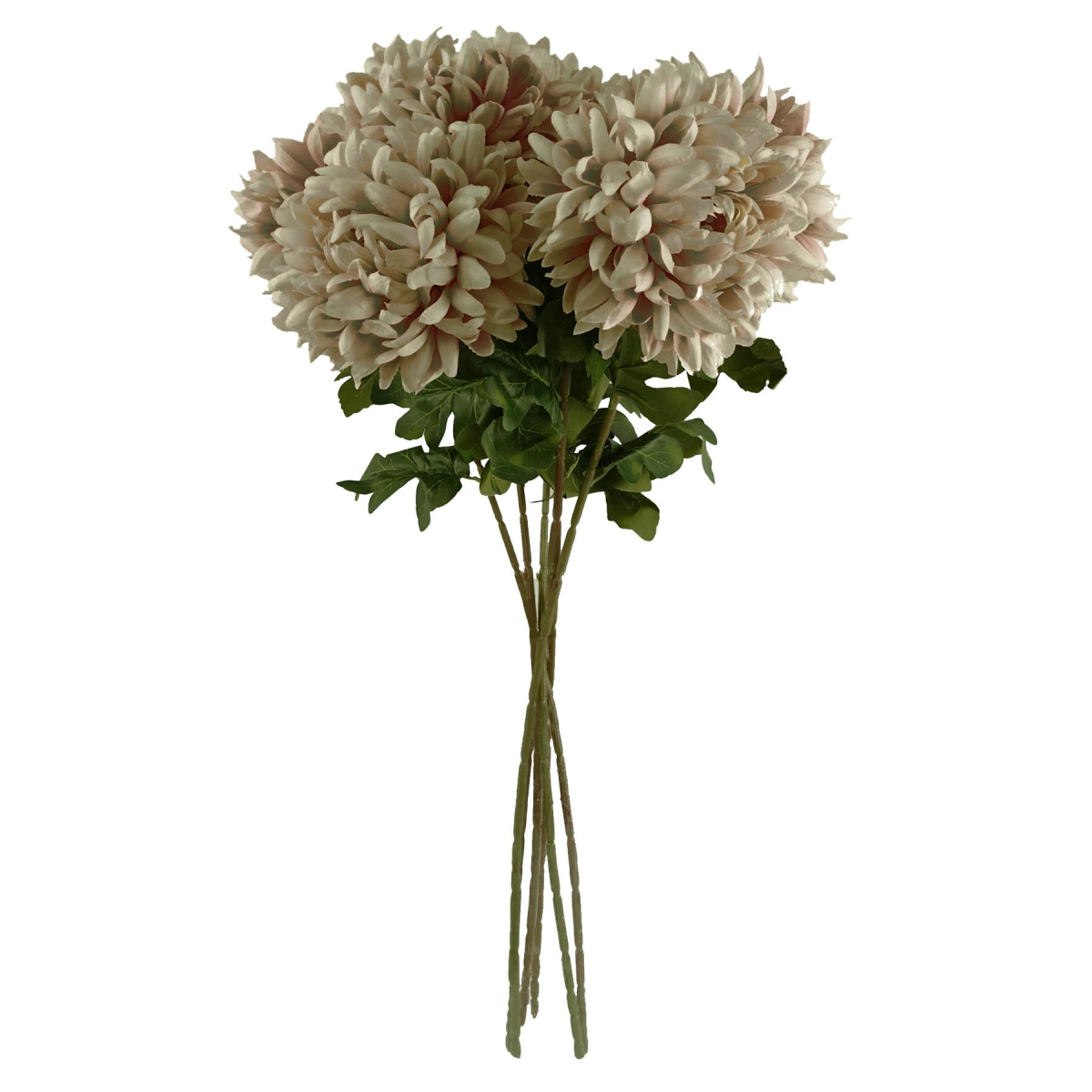 large chrysanthemum 6 mushroom reflex extra of product image