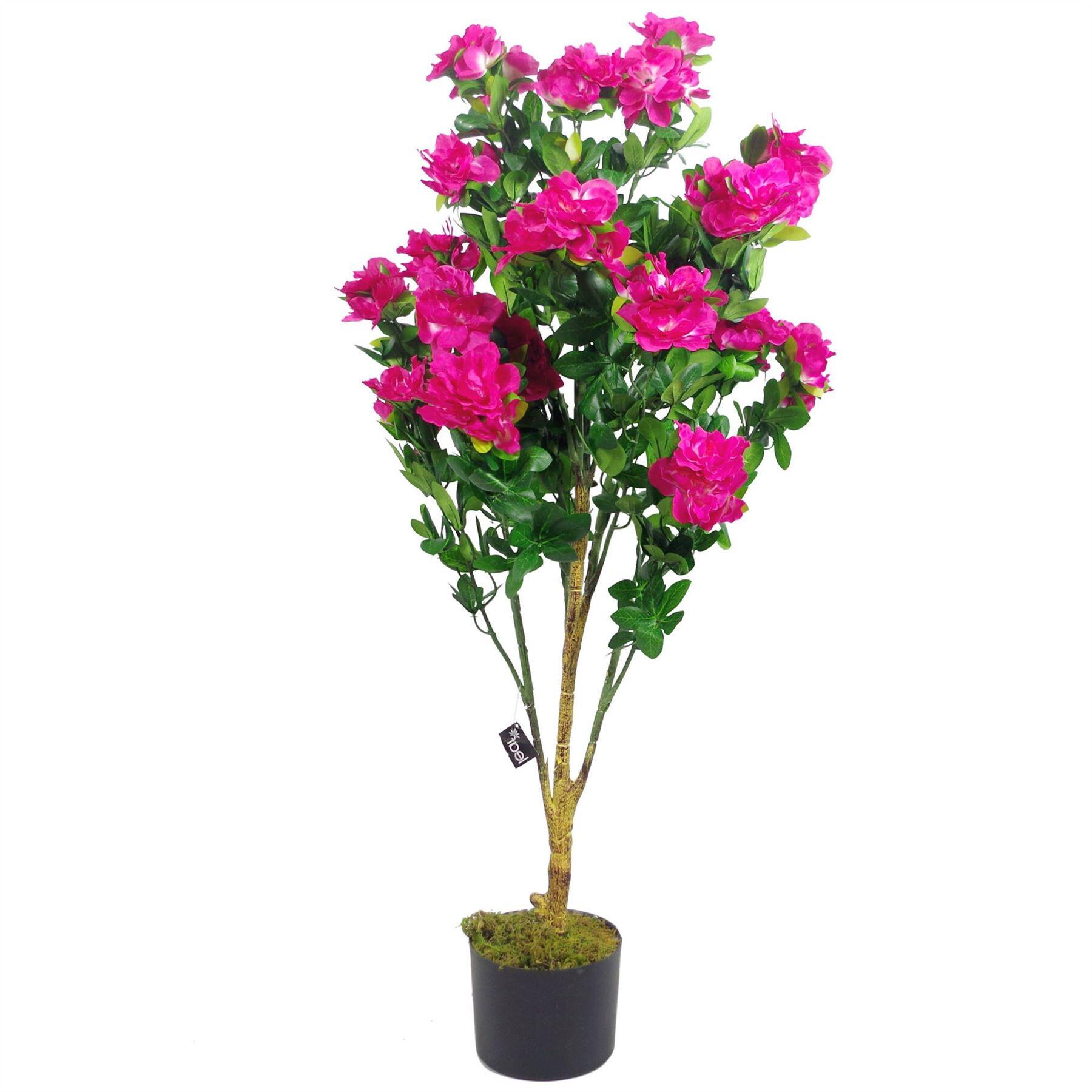 plant premium 100cm flowers potted pink azalea product image