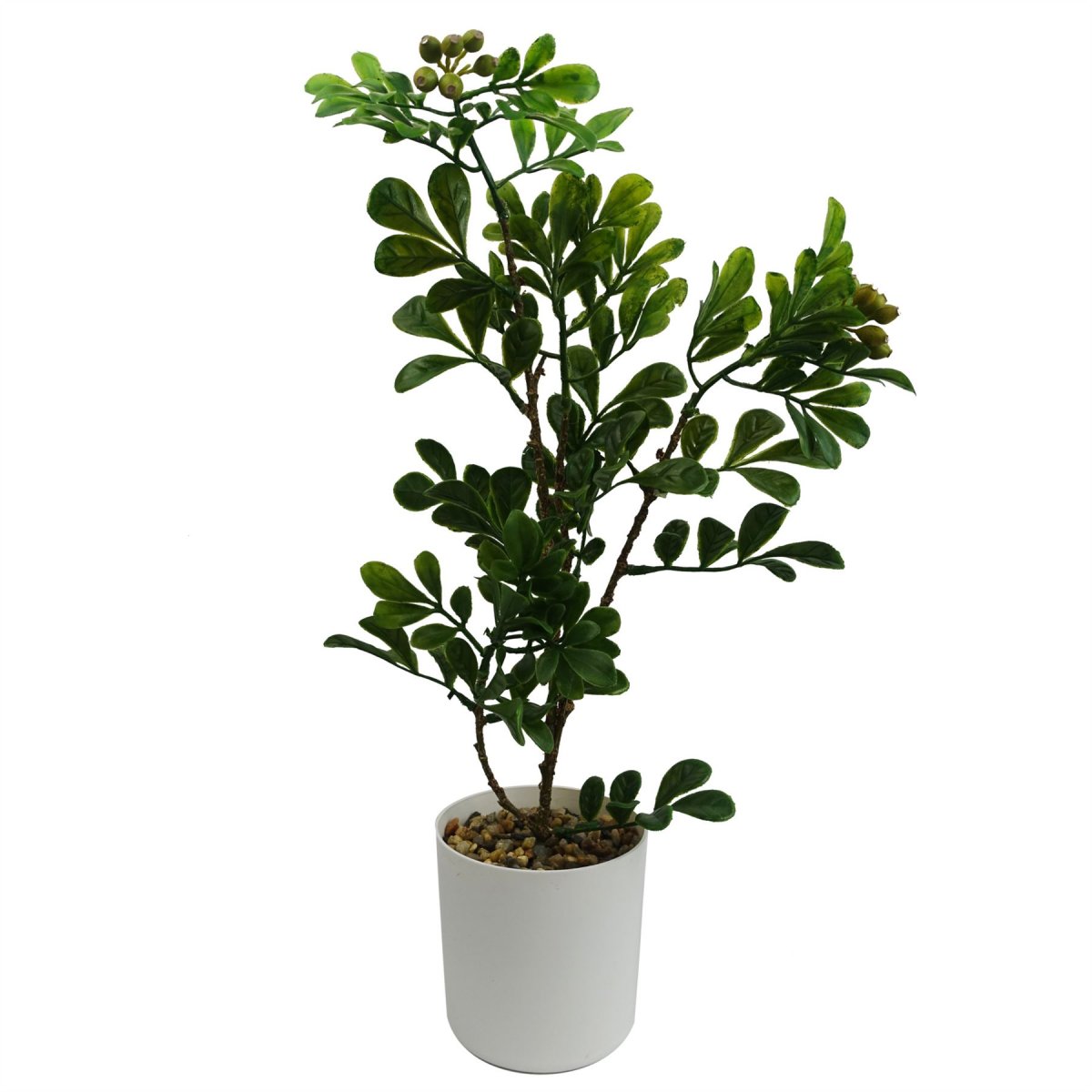 bonsai tree 45cm aglaia artificial ficus odorata product image