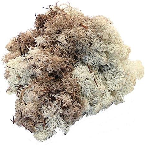 natural finland moss