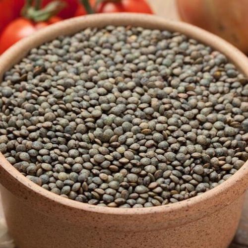 Le Puy Dark Speckled Lentils