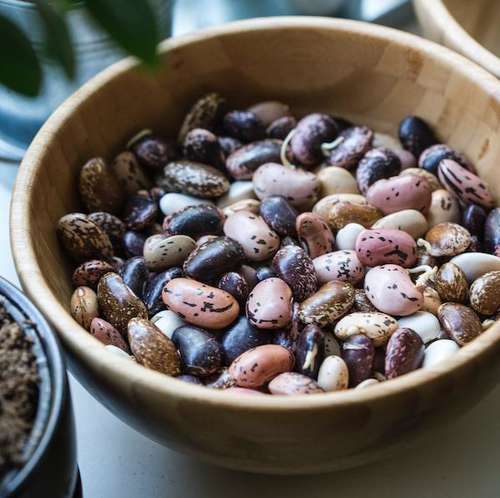 Beans