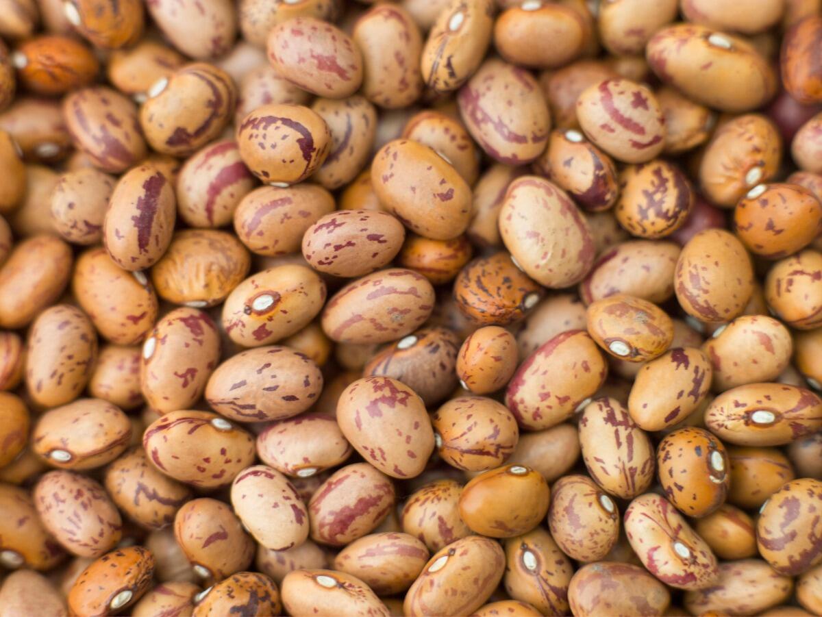 Borlotti Beans - Pinto Beans