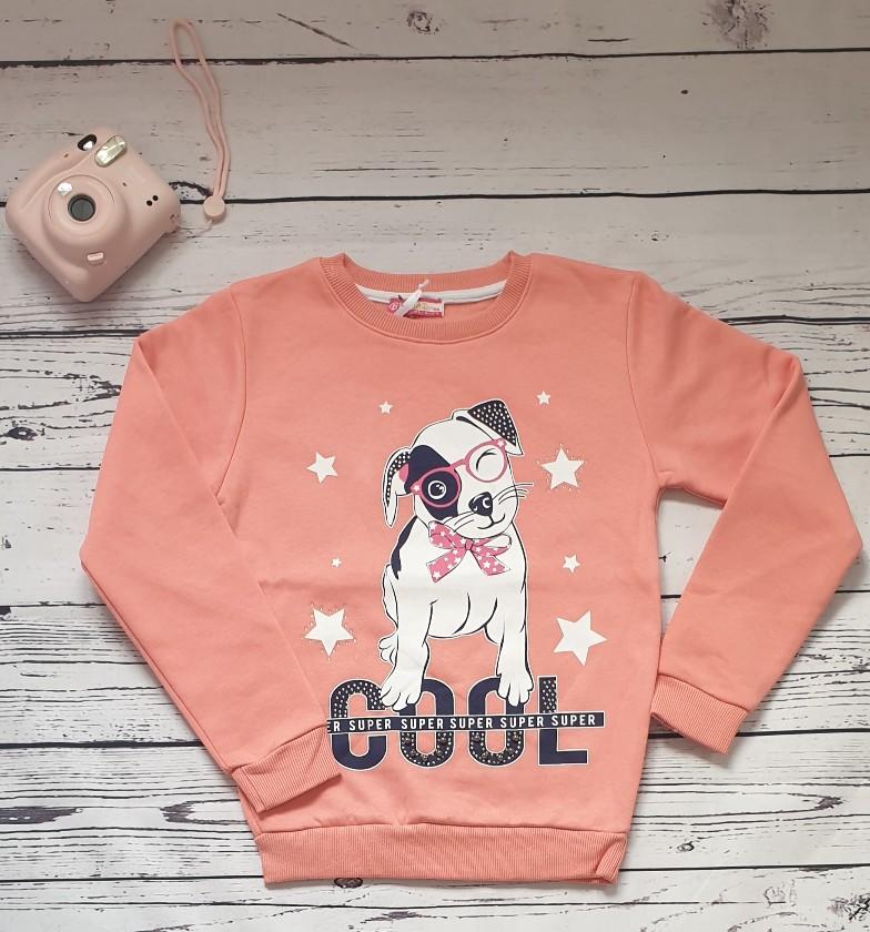 children wear girls sweatshirt dog
