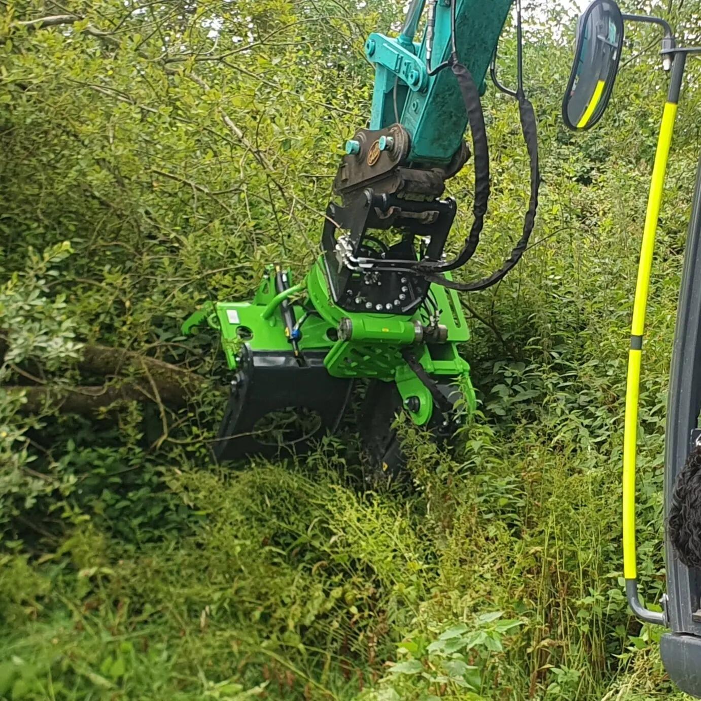 Tree Shear 16