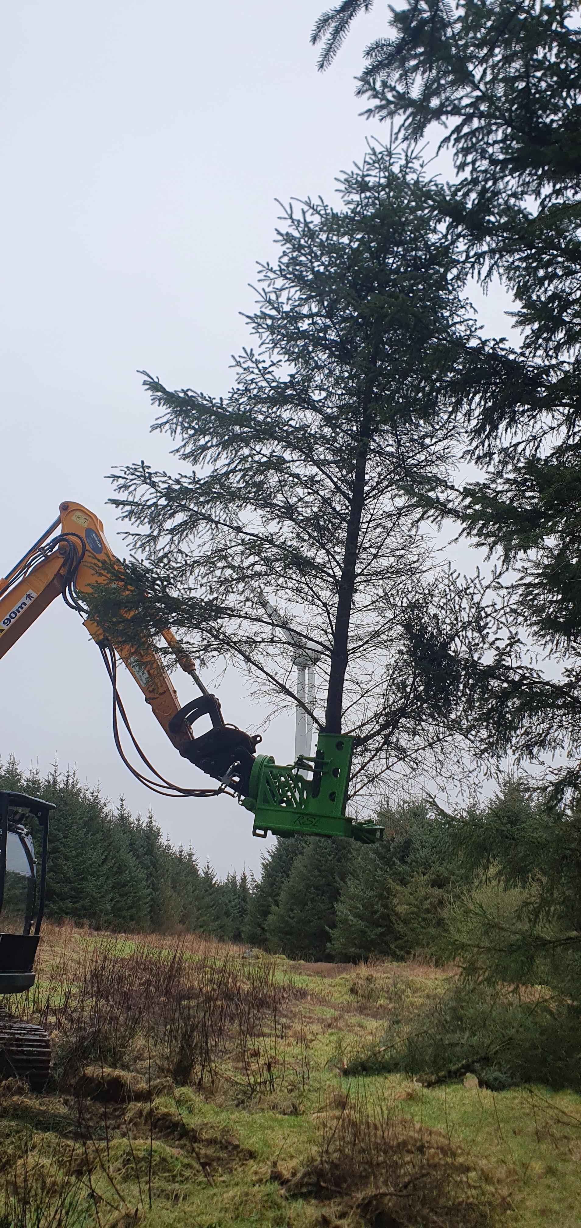 Tree Shear 16