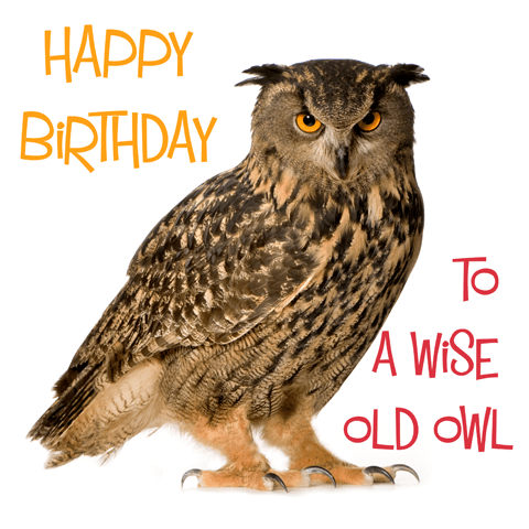wise old owl