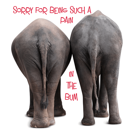 two elephant bums