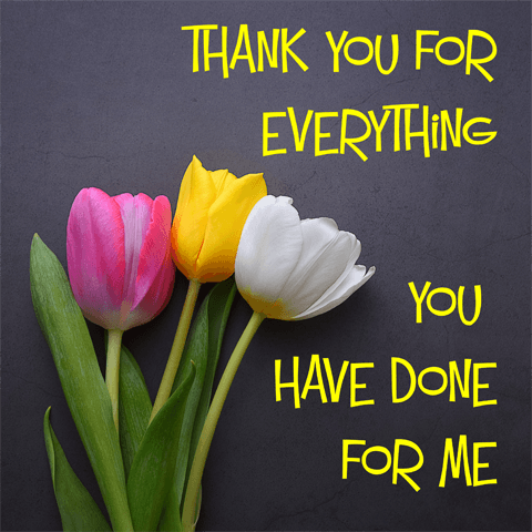 tulips with thank you message