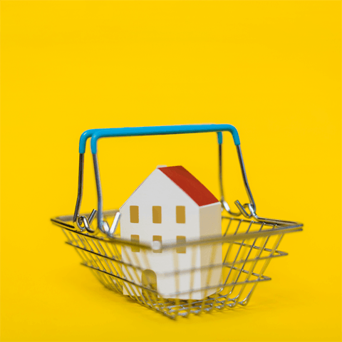 house in a shopping basket
