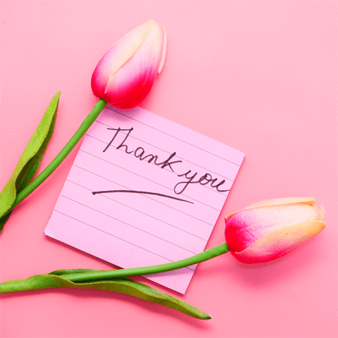 thank you note and tulips