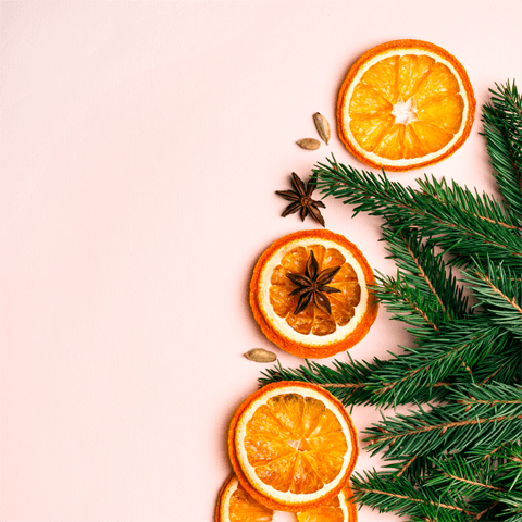 christmas oranges and fir tree