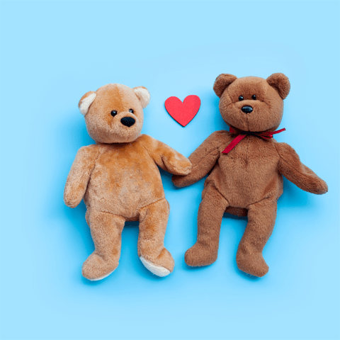 cute toy bears holding hands